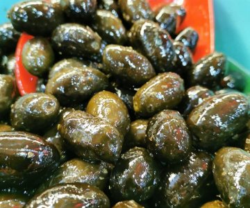 Kalamata Zeytin