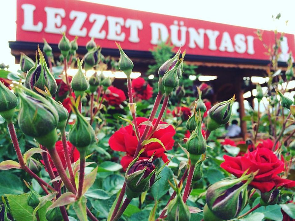 Hakkımızda